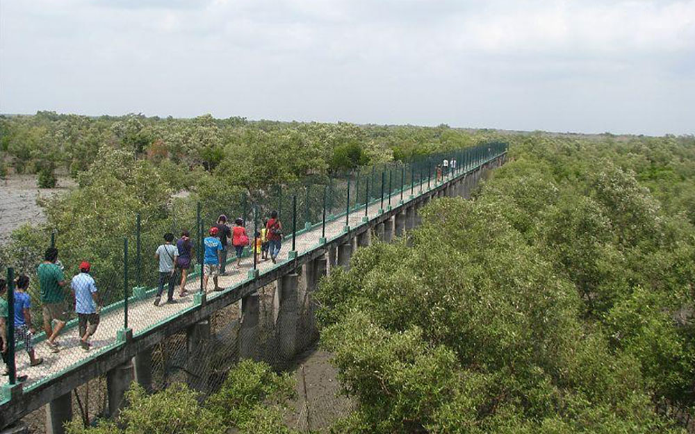 sundarban package tour